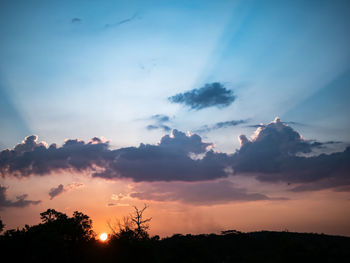 Low angle view of silhouette trees against sky during sunset