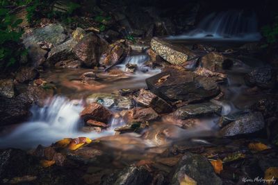 View of waterfall in forest