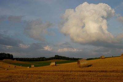 Representative summer hokkaido landscape in biei district with hay bales
