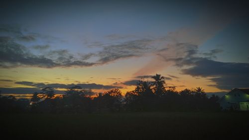 Silhouette trees on field against sky at sunset