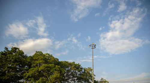 Low angle view of street and trees against sky