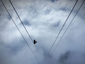 Low angle view of silhouette bird flying against sky