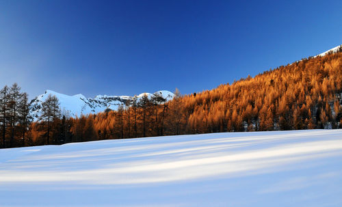 Scenic view of snow covered landscape against clear blue sky