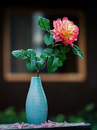 Close-up of coral rose in vase on table