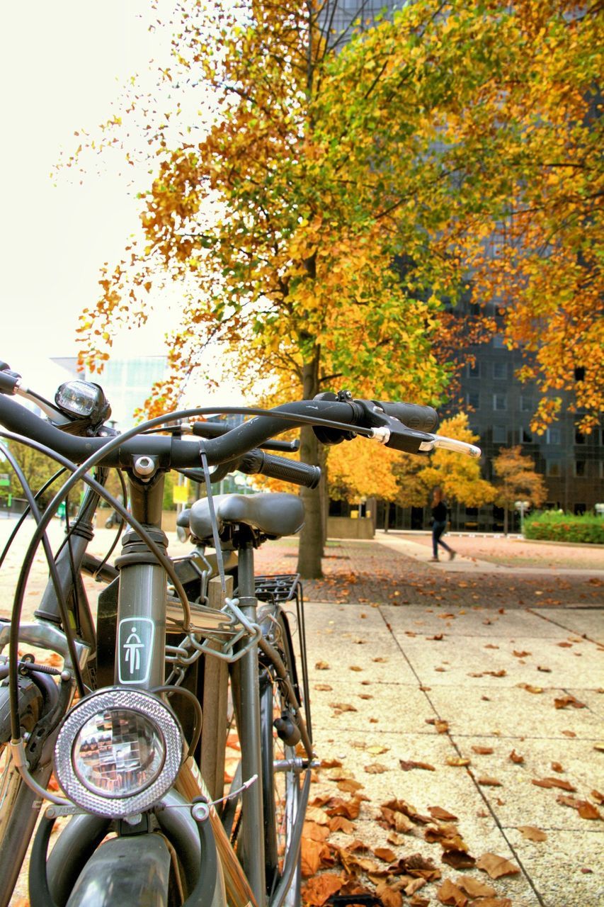 bicycle, transportation, mode of transport, land vehicle, parked, tree, parking, stationary, metal, day, car, street, outdoors, fence, sunlight, safety, protection, railing, motorcycle, travel