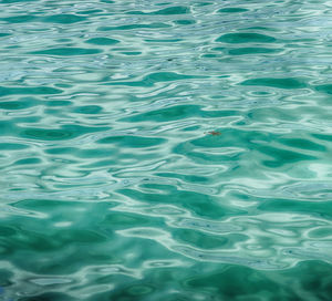 Full frame shot of water in swimming pool