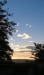 Silhouette tree against sky during sunset