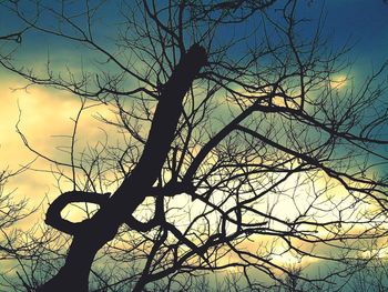 Low angle view of silhouette tree against sky