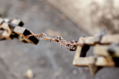 Close-up of rusty chain