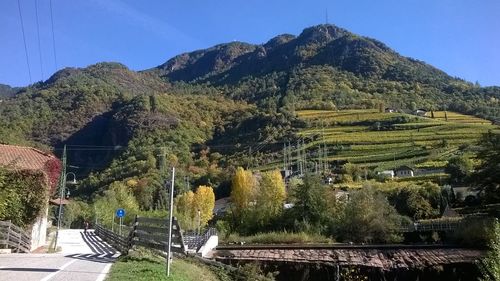 Panoramic view of trees and mountains against sky