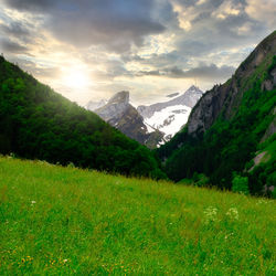 Scenic view of field and mountains against sky