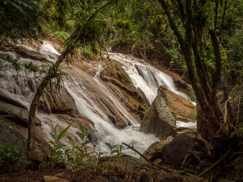 Scenic view of waterfall in forest