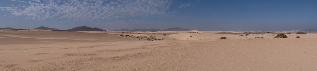 Scenic view of desert against sky