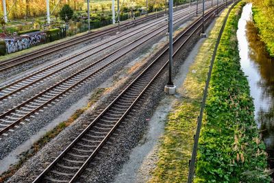 High angle view of railroad tracks amidst plants