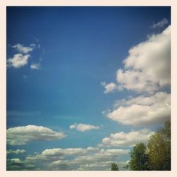 Low angle view of trees against cloudy sky