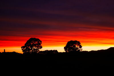 Silhouette trees against dramatic sky during sunset