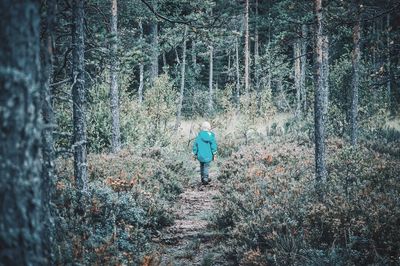 Full length rear view of boy walking in forest