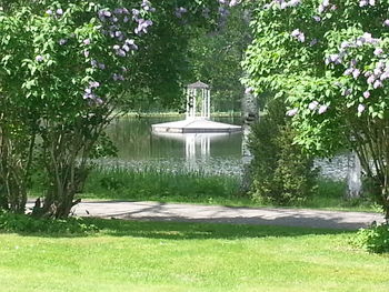 Empty bench in park