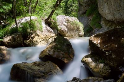 Scenic view of waterfall in forest