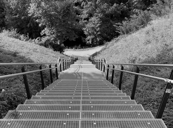 Footbridge amidst trees
