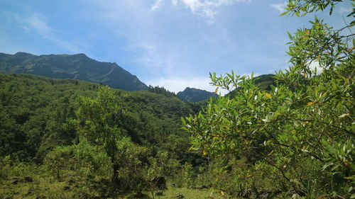 Scenic view of mountains against sky