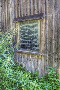 Close-up of old window