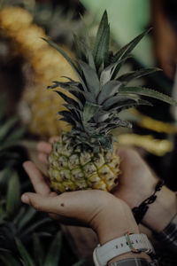 Close-up of hand holding fruit