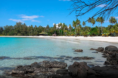 Scenic view of beach against blue sky