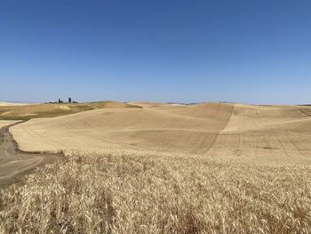 Scenic view of desert against sky