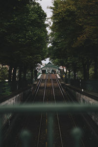 High angle view of railroad tracks amidst trees on field