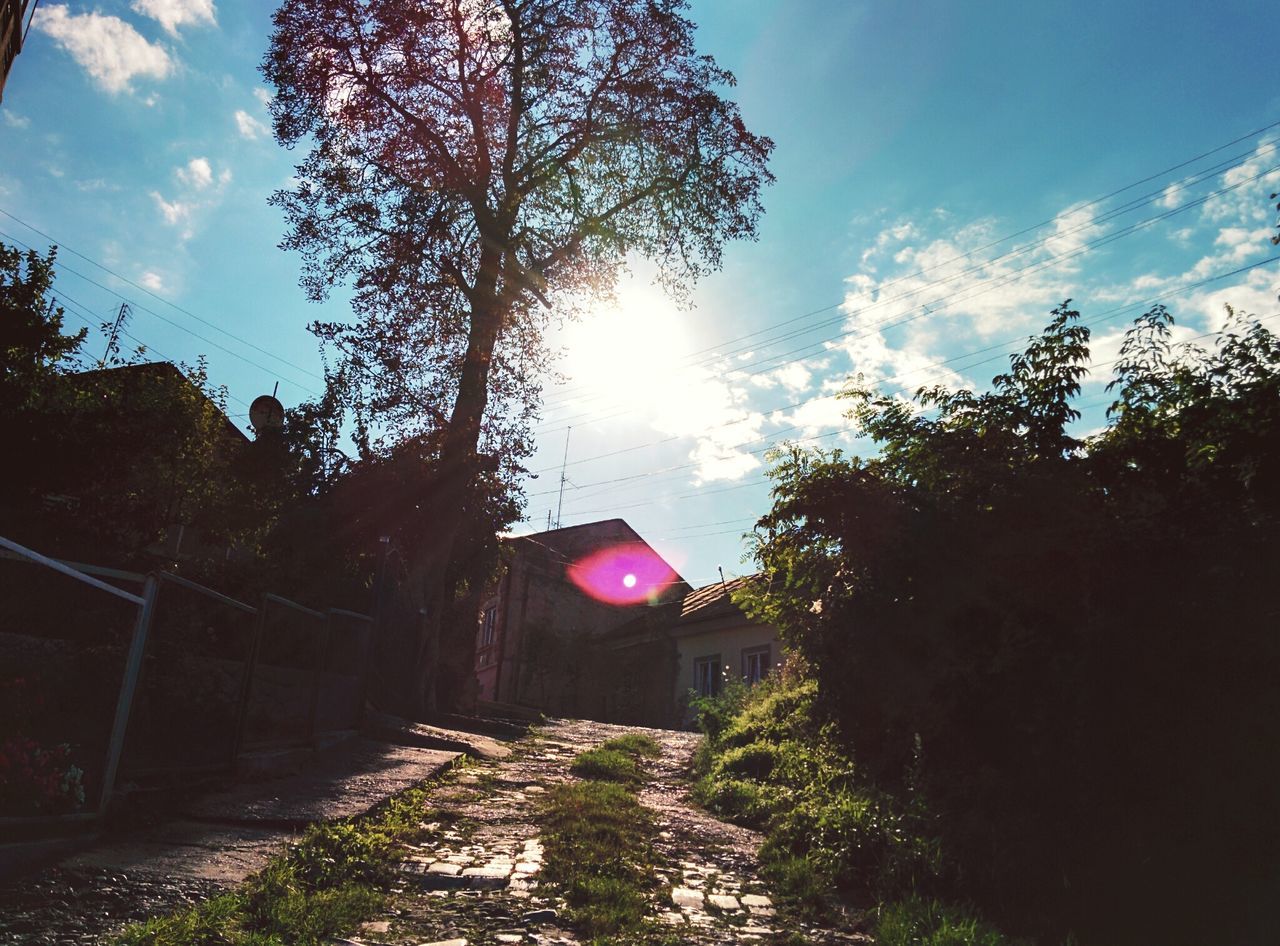 tree, sky, built structure, building exterior, architecture, house, sunlight, the way forward, sun, cloud - sky, lens flare, sunbeam, street, cloud, nature, road, outdoors, no people, residential structure, sunset