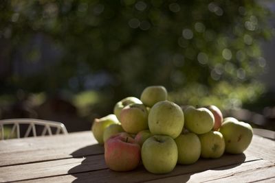 Freshly picked apples on a bench outside