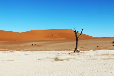 Scenic view of desert against clear blue sky