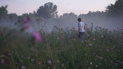 Rear view of boy standing in field of flowers against evening sky