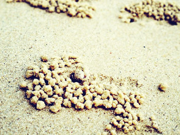 Close-up of pebbles on beach