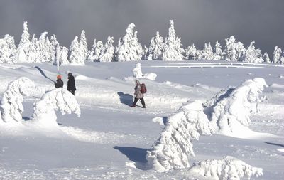 People skiing on snow covered field