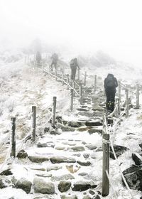 Snow covered landscape