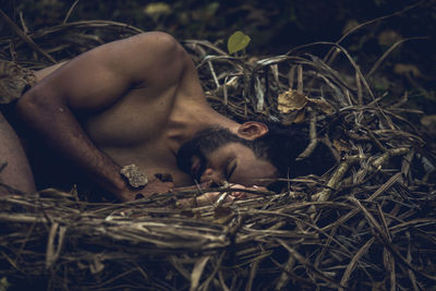 Close-up of man sleeping in bird nest