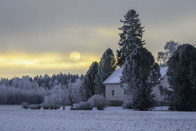 Trees on snow covered field against sky during sunset