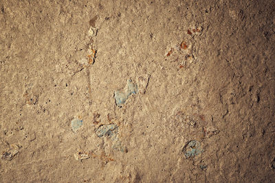 High angle view of footprints on sand