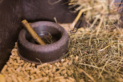 Close-up of mortar and pestle