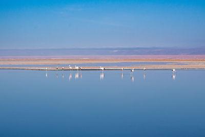 Scenic view of sea against clear blue sky