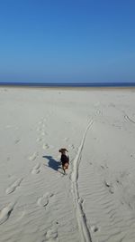 Man with dog at beach against clear sky