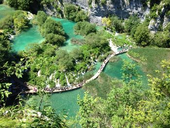 High angle view of river amidst trees in forest