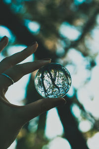 Close-up of hand holding glass with reflection of trees