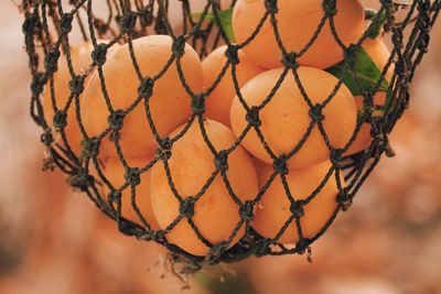 Close-up of chain hanging on metal