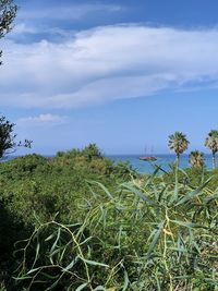 Scenic view of sea against sky