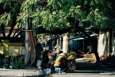 Potted plants and trees outside building