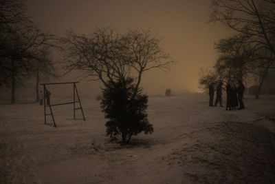 Trees on snow covered field against sky