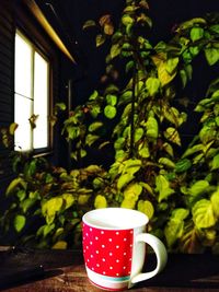 Close-up of coffee cup on table